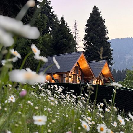 Villa Solomons Gray Tangmarg Exterior foto